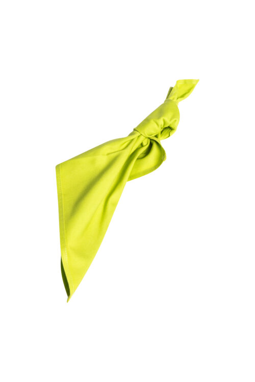 1 Vp Serviette Vert De Pomme (Par 5)